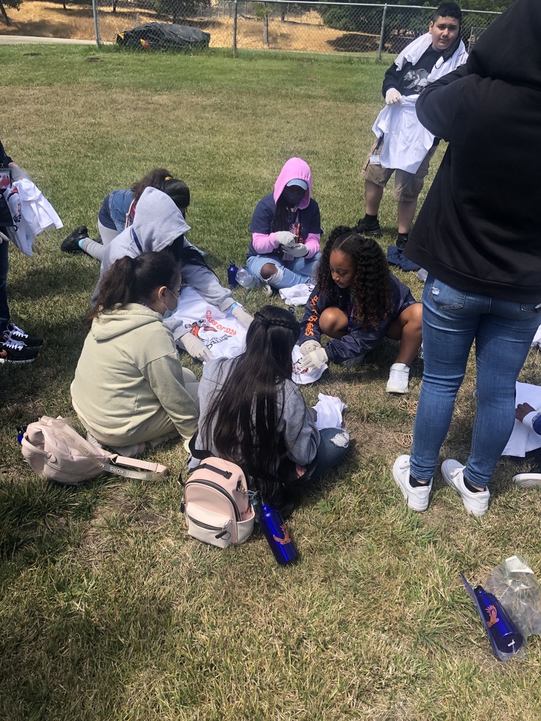 BayTech Summer Camp