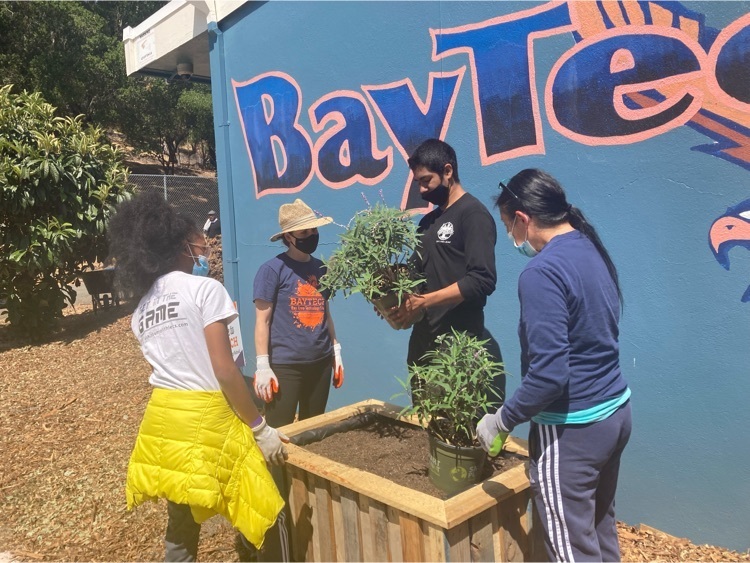 campus beautification